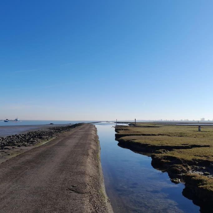 Mies Rust En Stilte Aan Het *